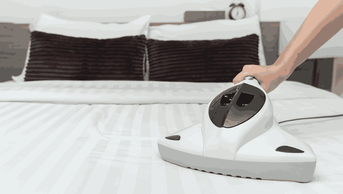 Mattress Cleaning & Sanitization